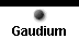  Gaudium 
